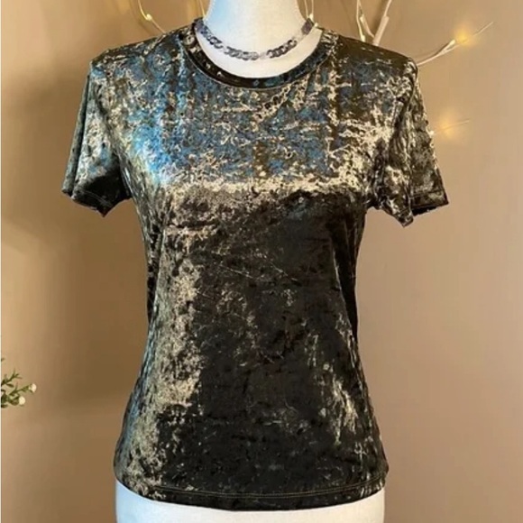 Free People Tops - NWOT Free people crushed velvet crewneck